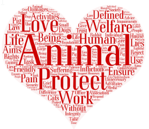 Cover: Am 4. Oktober ist Welt-Tierschutztag